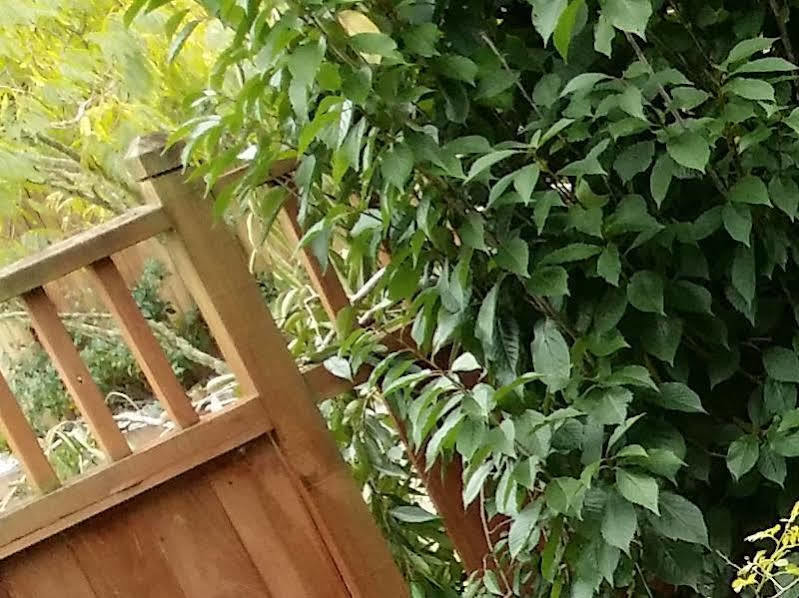 Whangarei Holiday Houses Экстерьер фото